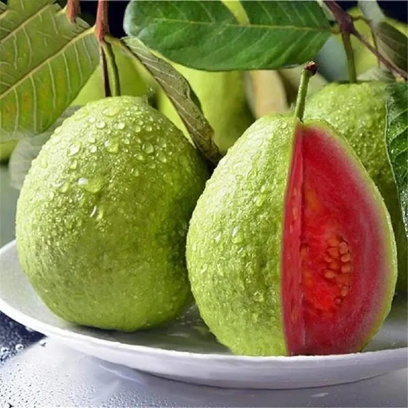 Guava seeds