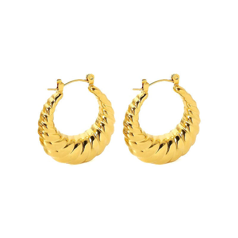 Twisted Hoops Earrings