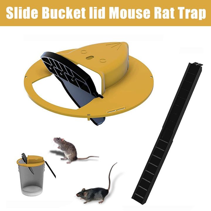 Reusable Safe Mouse Trap